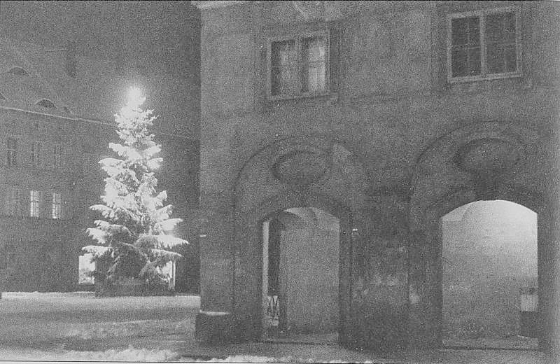 Geschichten rund um den Weihnachtsbaum 