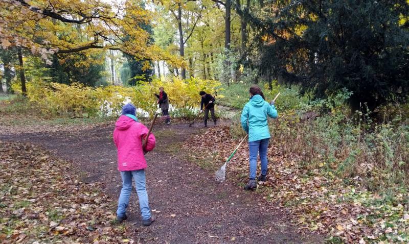 Helfer gesucht: Herbstputz  in der Zittauer Weinau