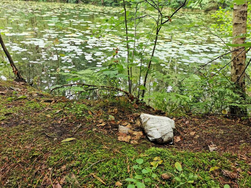 Ärgernis Windeln im Stadtwald von Niesky