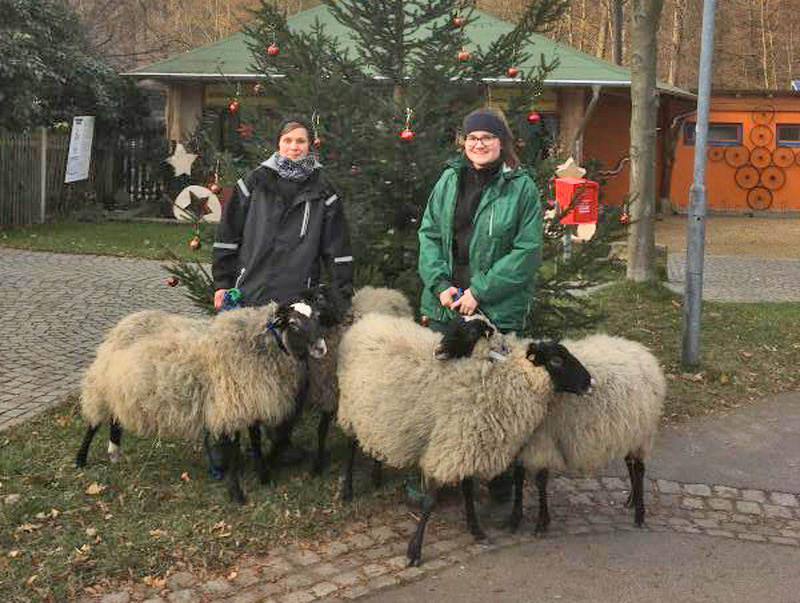 Tiere registrieren jede Bewegung