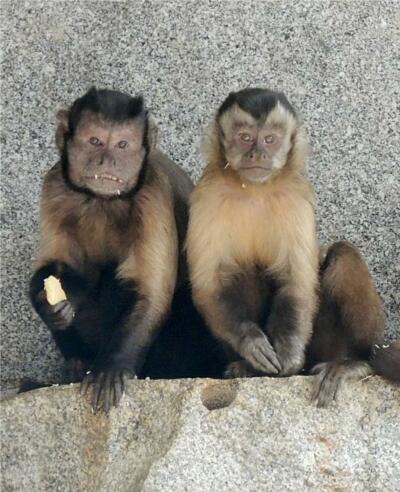 Im Schiebocker Tierpark wird wieder gefeiert