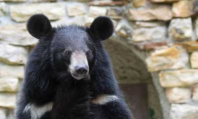 Das Tibetdorf erwartet im neuen Jahr Mischa und Franz