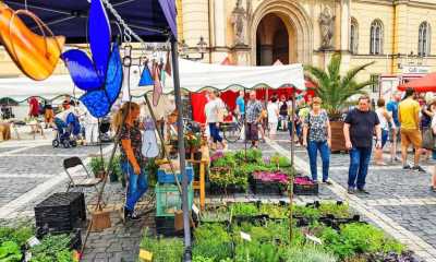 Trinationaler „Samsmarkt lockt in die Zittauer Innenstadt