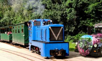 Mehr Fahrten bis August mit der Waldeisenbahn