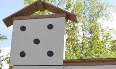 Frischer Wind im Haus „Domino“