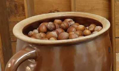 Spielenachmittag in der Bibliothek: „Uff zun Puch’n!“