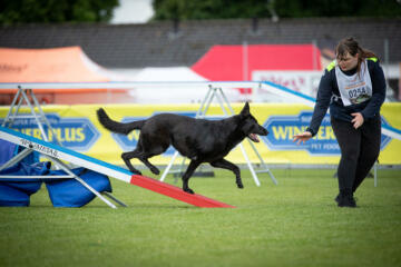 Meisterschaft im Hundesport in Kamenz