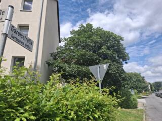 Bautzen: Wer war eigentlich dieser Gareis?