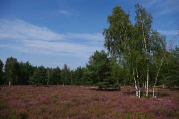„Bei jeder Führung  lernt man dazu“