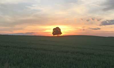 Herbstliches Totengedenken in Görlitz