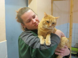 Wer ein Tier anschafft, sollte ins Tierheim schauen