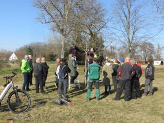 Guter Schnitt, gesunder Baum