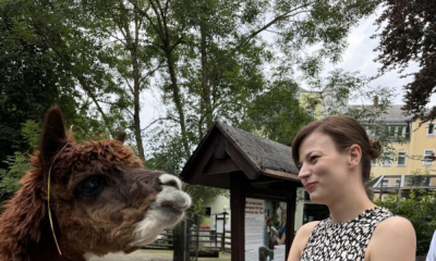 Politikerin übernimmt Patenschaft für Alpaka Nesquik 