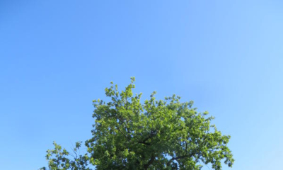 „Es muss etwas passieren“
