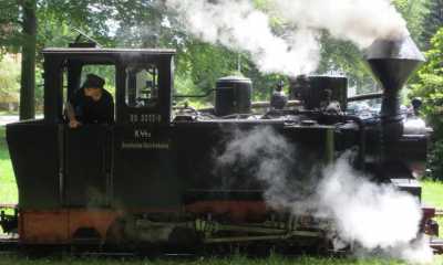 Mit der Muskauer Waldbahn ins neue Jahr starten