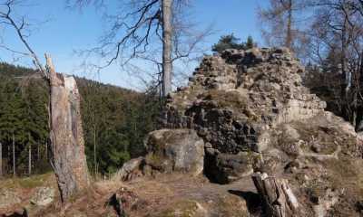 Wanderung mit Erläuterungen zu Karlsfried