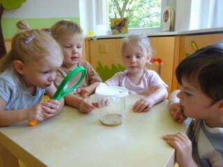 Kleine Wunder in der Kinderkrippe
