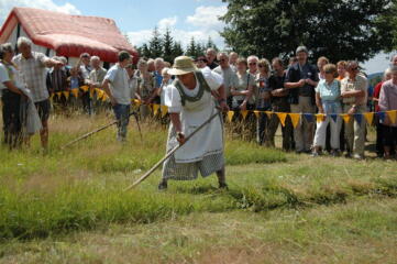 Naturparkfest auf der Bergwiese in Oybin 