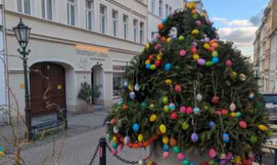 In Löbau hat Tannengrün auch zu Ostern Saison