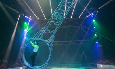 Der Zirkus kommt nach Löbau