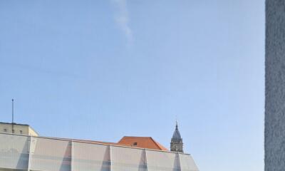 Schwalbenrettung bald bei DMAX