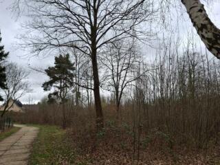 Was aus der Landbau-Brache werden soll