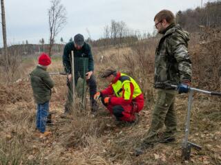 620 neue Bäume für den Picho