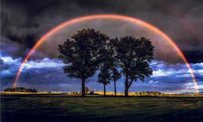 Fotoschau im Stadthaus Bernstadt mit Rekordzahlen