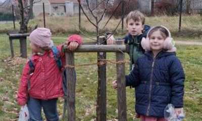 Herrn von Ribbecks Erbe lebt weiter