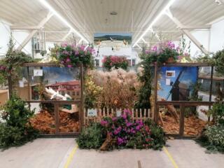 Geflügelschau in Sohland am Rotstein