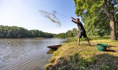 Aus Forschungslabor zurück an den Teich
