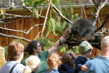 Auf zum Kindertag im  Zittauer Tierpark