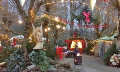 Weihnachten im Zittauer Tierpark