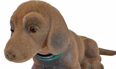 Neue Sonderschau: Schwund ist immer