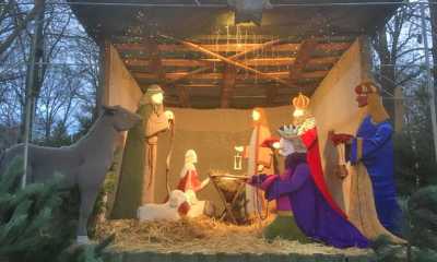 Weihnachtsbaum für die Tiere im Zittauer Tierpark