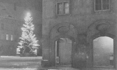 Geschichten rund um den Weihnachtsbaum 