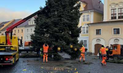 Löbauer Weihnachtsbaum auf dem Altmarkt umgesägt!