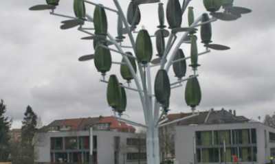 Neuer Windbaum auf dem Campus der Hochschule