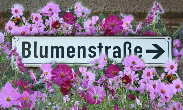 Alternativer Text Infobild