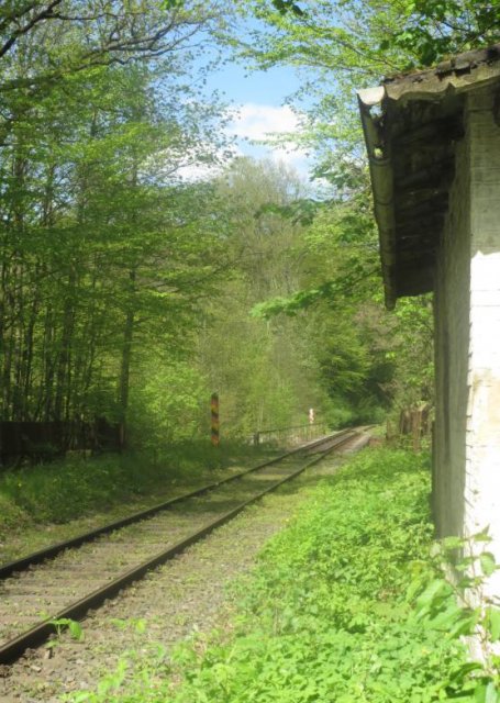 Alternativer Text Infobild