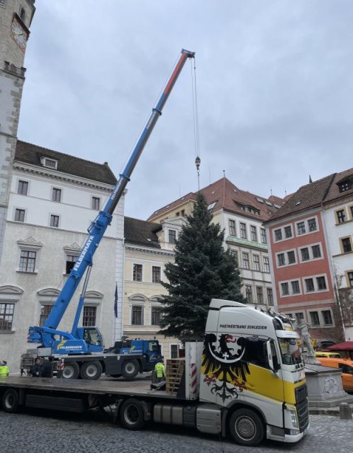 Alternativer Text Infobild