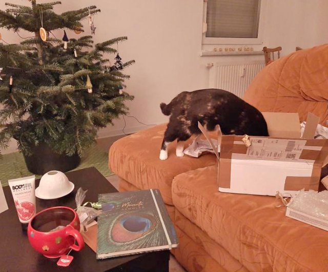 Alternativer Text Infobild