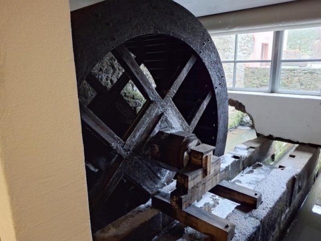 Alternativer Text Infobild