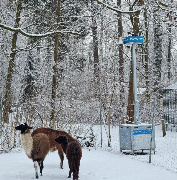 Alternativer Text Infobild