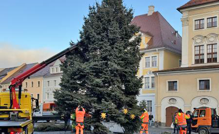 Alternativer Text Infobild