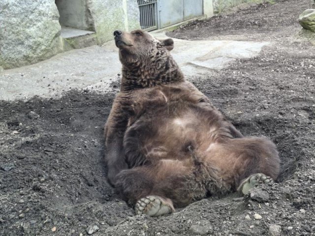 Alternativer Text Infobild