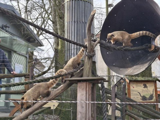 Alternativer Text Infobild