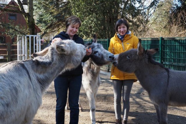 Alternativer Text Infobild