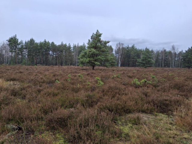 Alternativer Text Infobild