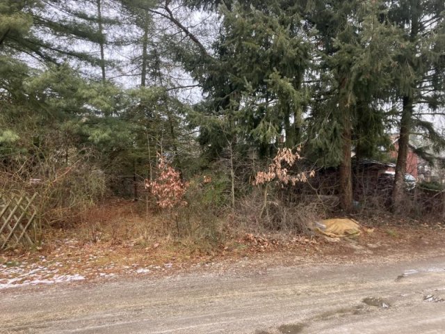 Alternativer Text Infobild